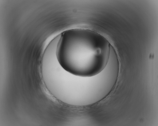 X0000112430960200908281859