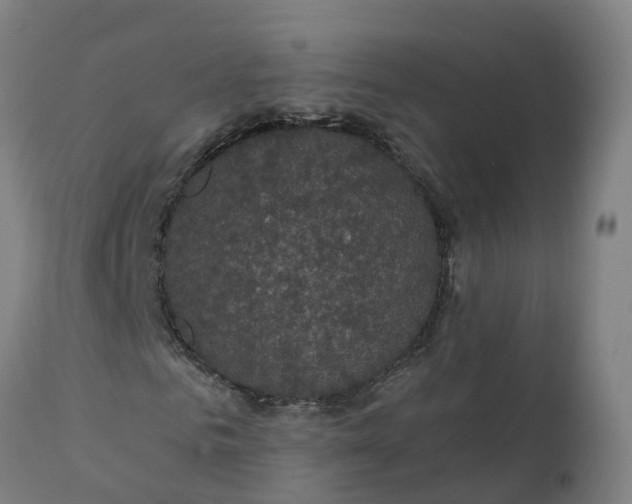 X0000112430961200908281858