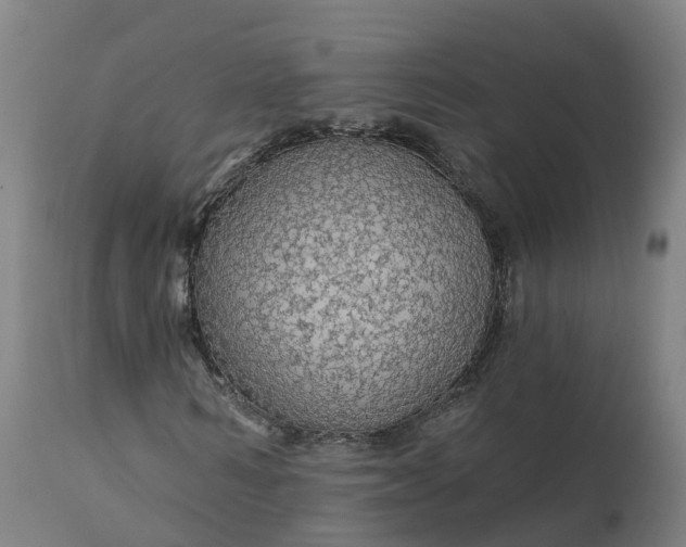 X0000112430962200908281858