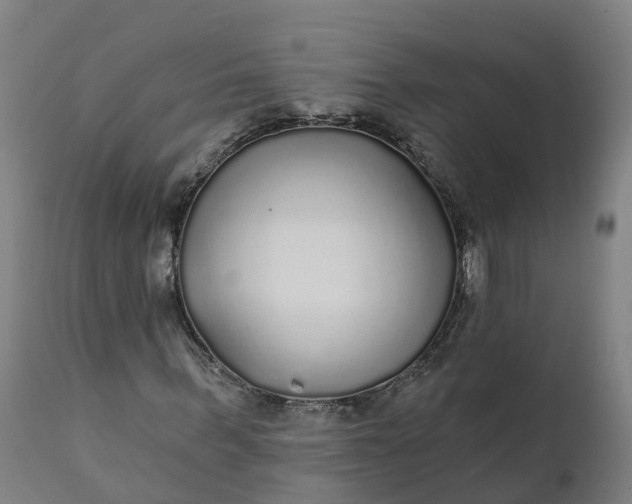 X0000112430963200908281858