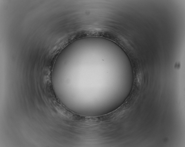 X0000112430964200908281858