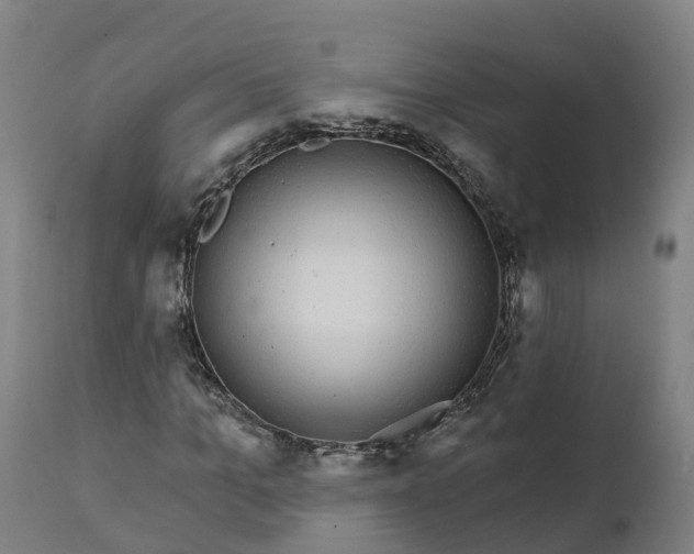 X0000112430965200908281858