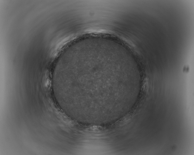 X0000112430966200908281858