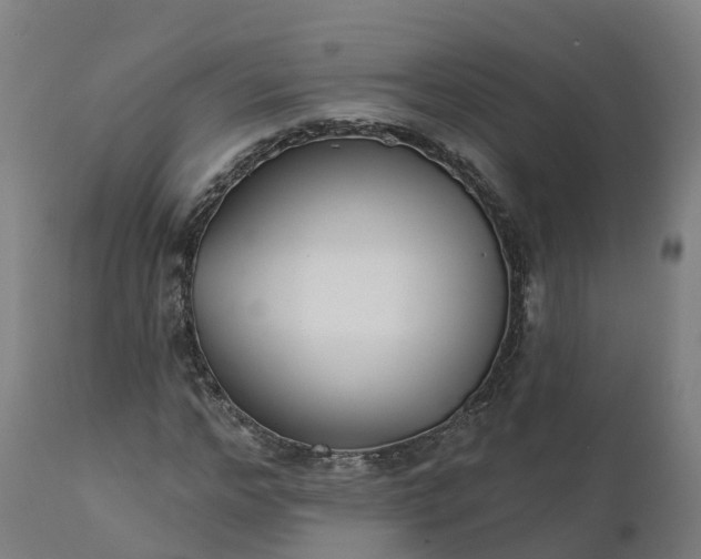 X0000112430968200908281858