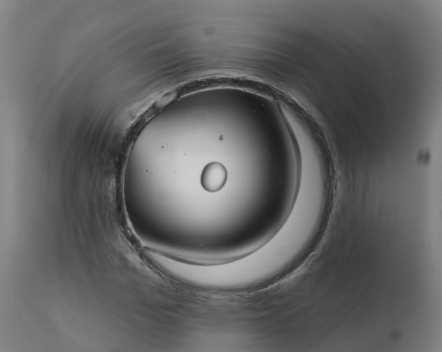 X0000112430969200908281858