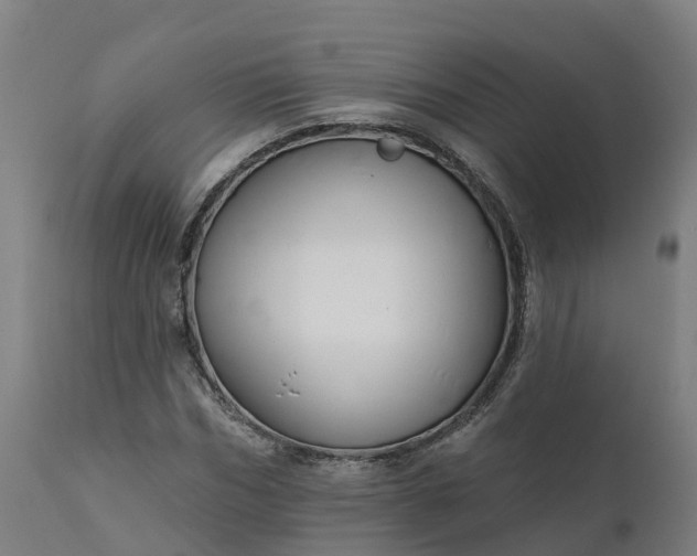 X0000112430970200908281858