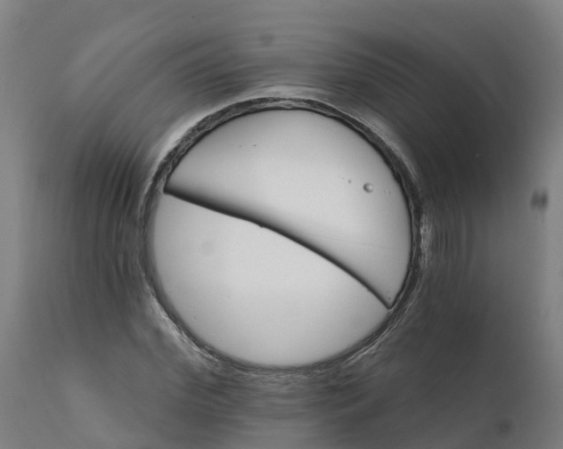 X0000112430972200908281858