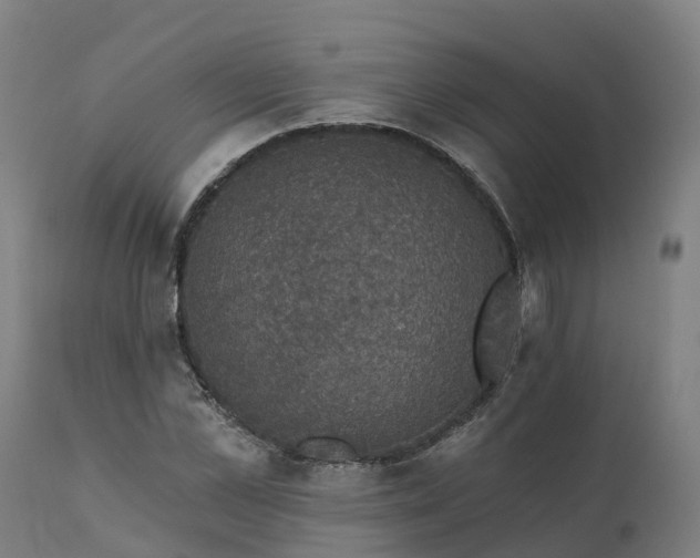 X0000112430973200908281858