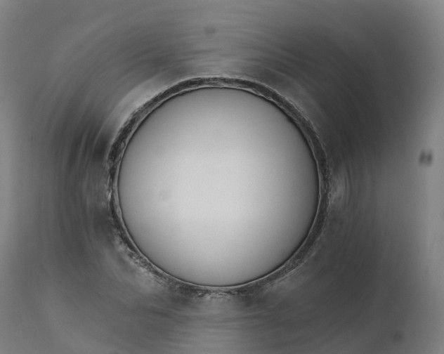 X0000112430974200908281858