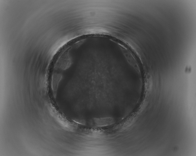 X0000112430975200908281858