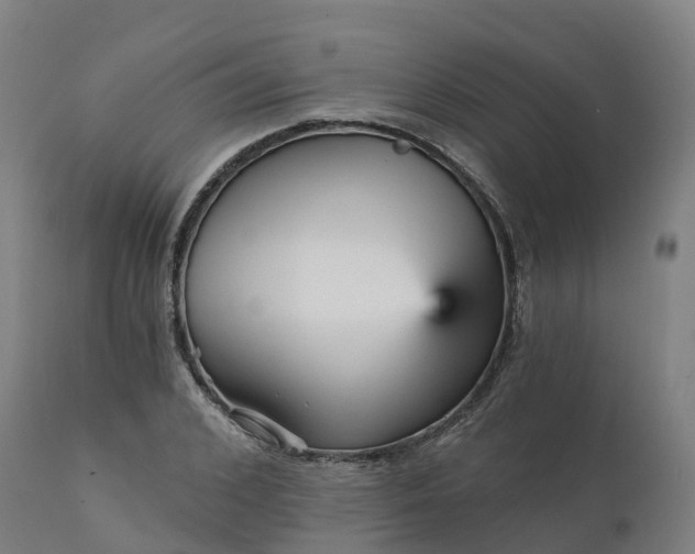 X0000112430976200908281858