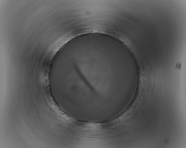 X0000112430977200908281858