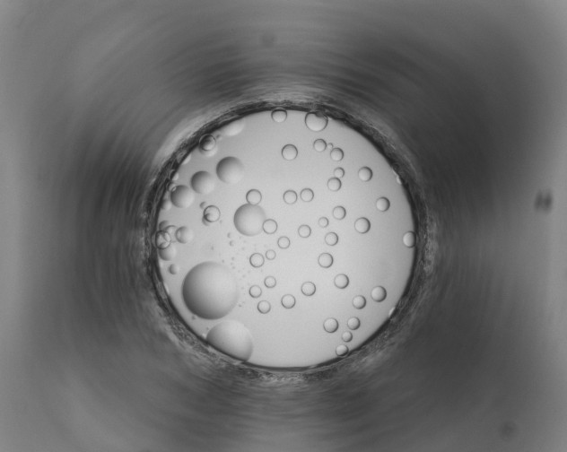 X0000112430978200908281858