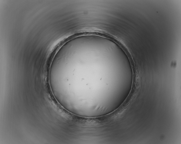 X0000112430979200908281858