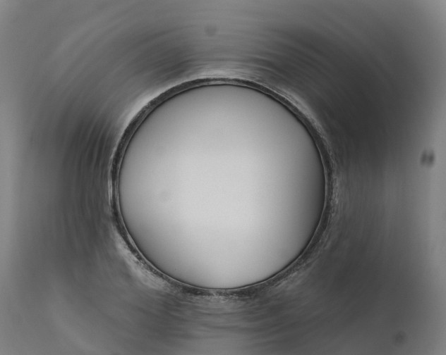 X0000112430980200908281858