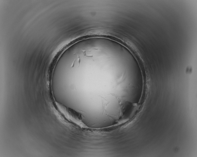 X0000112430981200908281858