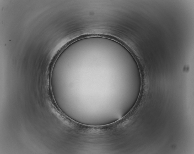 X0000112430982200908281858