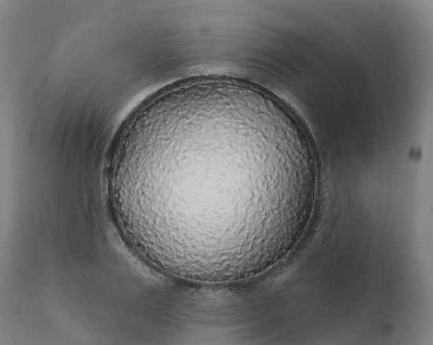 X0000112430983200908281858