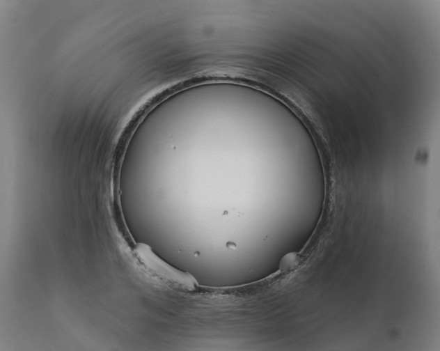 X0000112430984200908281858