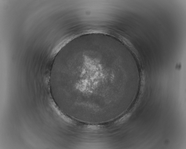 X0000112430985200908281858