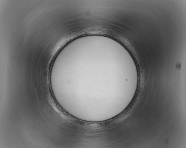 X0000112430986200908281858