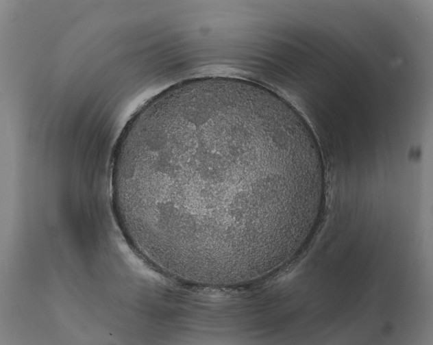 X0000112430987200908281858