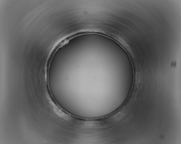 X0000112430988200908281858