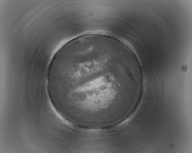 X0000112430989200908281858