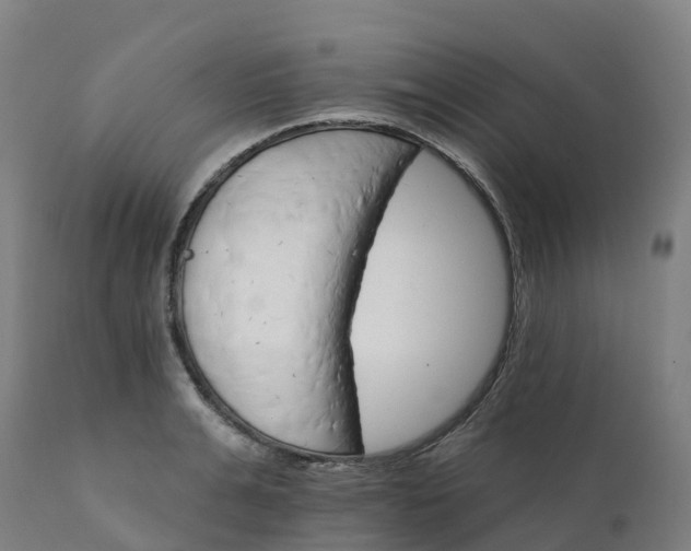 X0000112430991200908281858