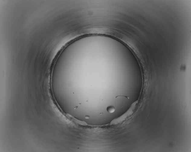 X0000112430992200908281858