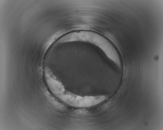 X0000112430994200908281858