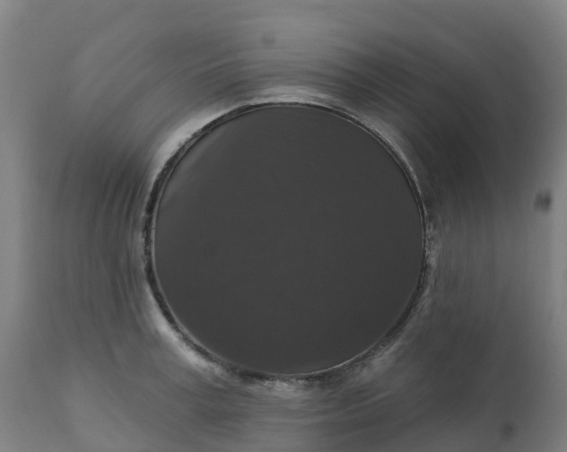 X0000112430995200908281858