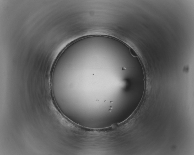 X0000112430996200908281858