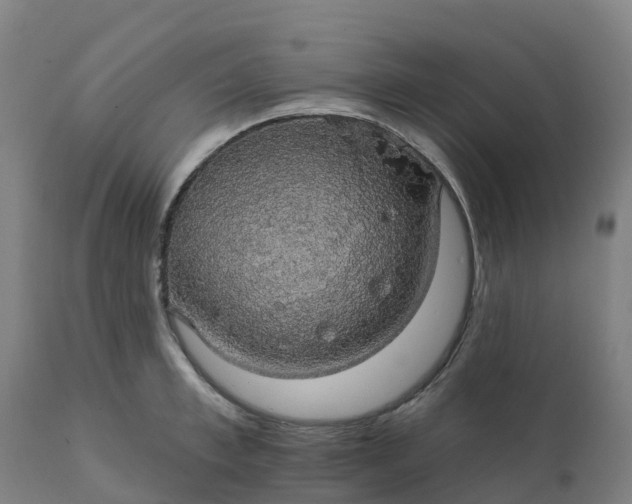 X0000112430997200908281858