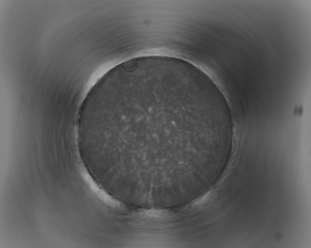 X0000112430998200908281858