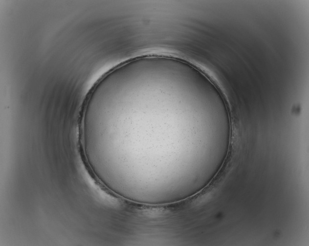 X0000112430999200908281858