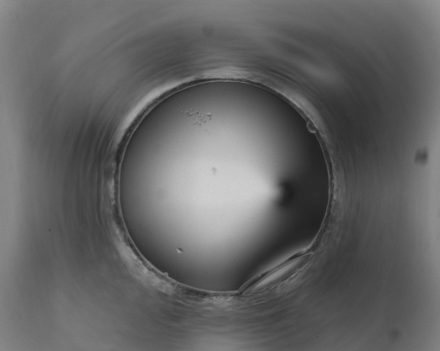 X0000112431000200908281858