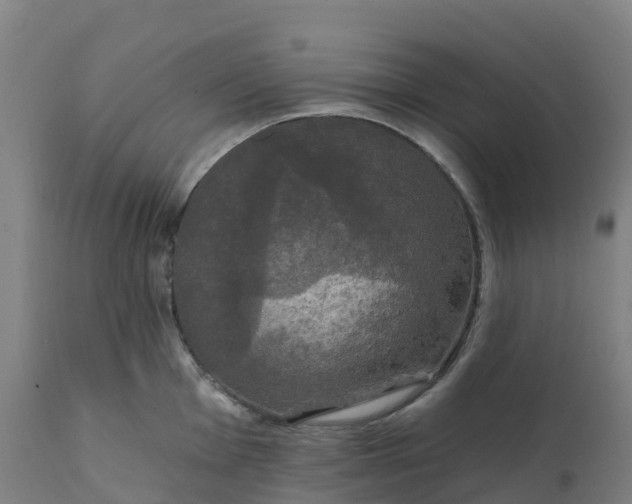 X0000112431001200908281858