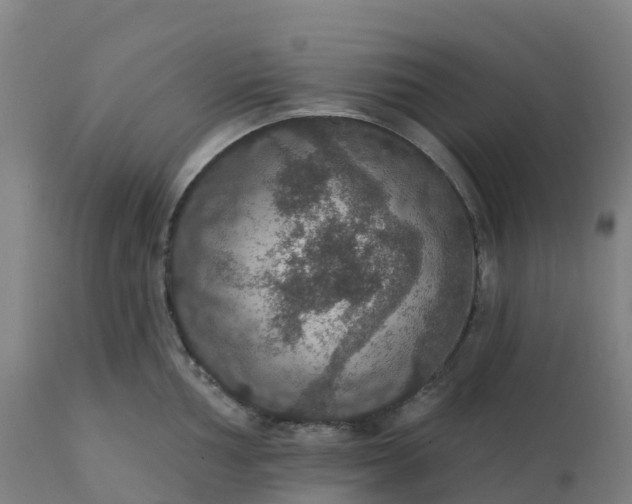 X0000112431002200908281858