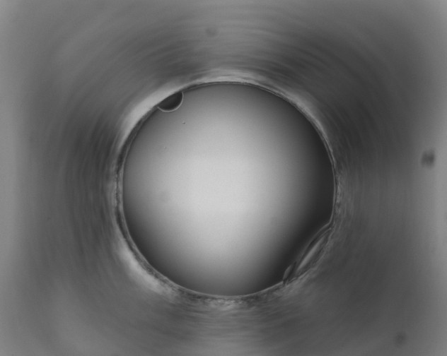 X0000112431003200908281858