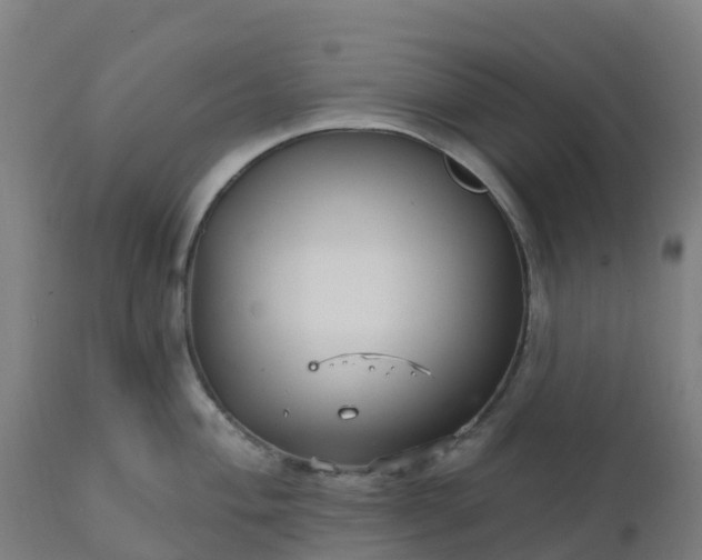 X0000112431004200908281858