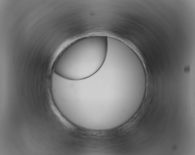 X0000112431005200908281858