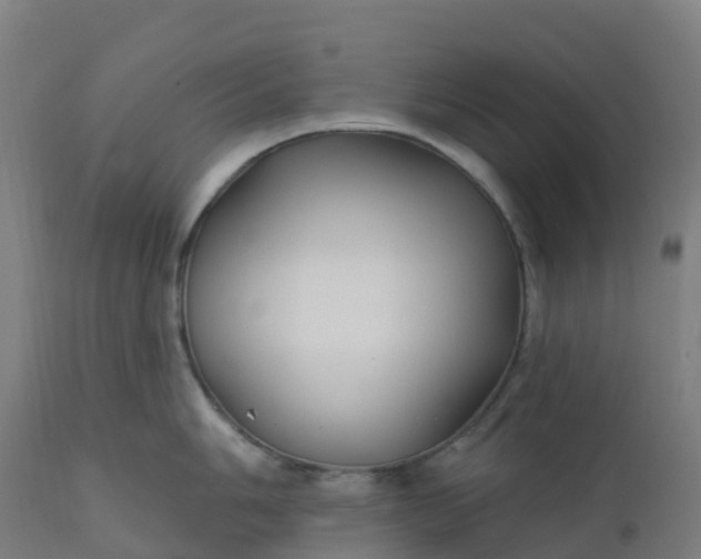 X0000112431006200908281858