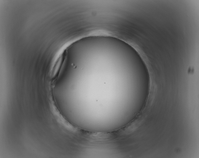 X0000112431008200908281858