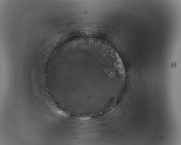 X0000112431009200908281857