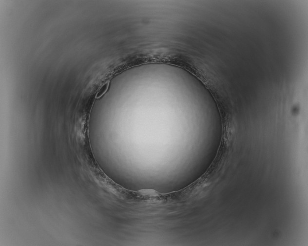 X0000112431010200908281857