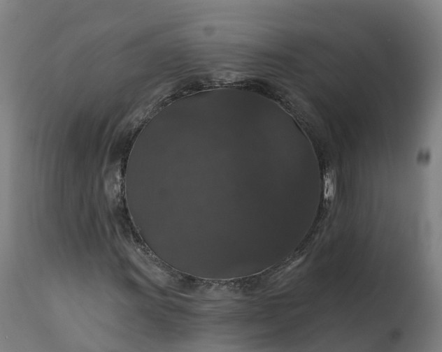 X0000112431011200908281857