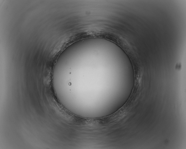 X0000112431012200908281857