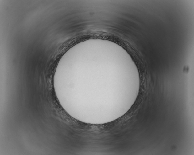 X0000112431013200908281857