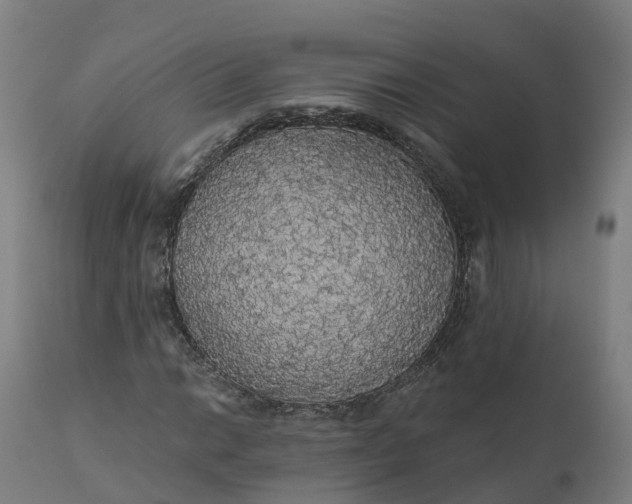 X0000112431014200908281857